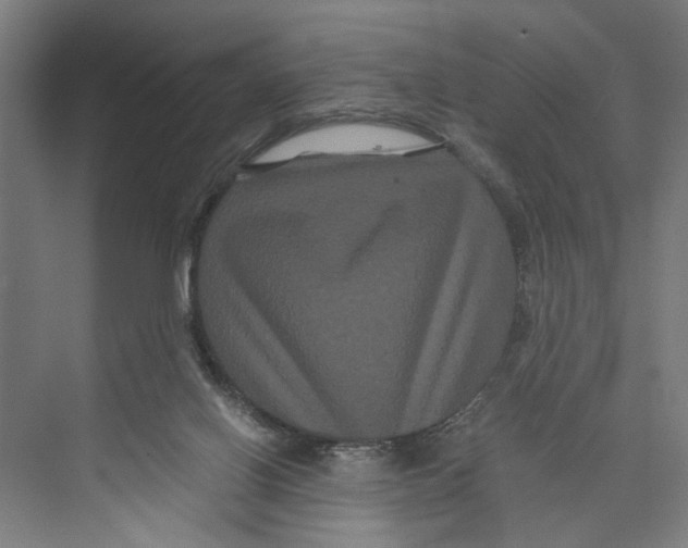 X0000071900070200608041354