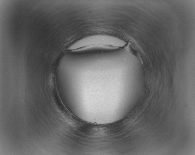 X0000071900071200608041354