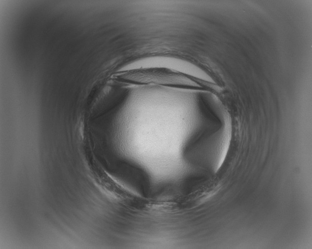 X0000071900072200608041354