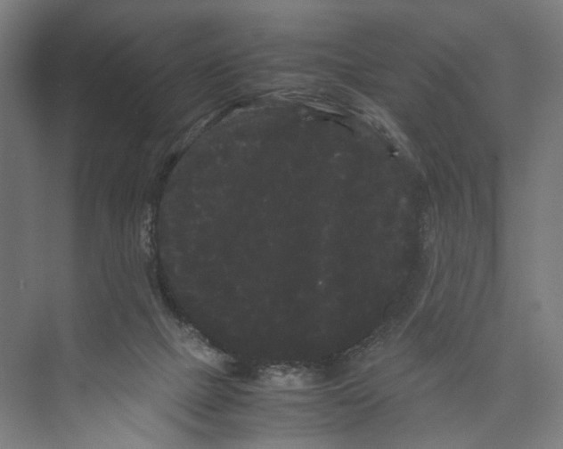 X0000071900073200608041354