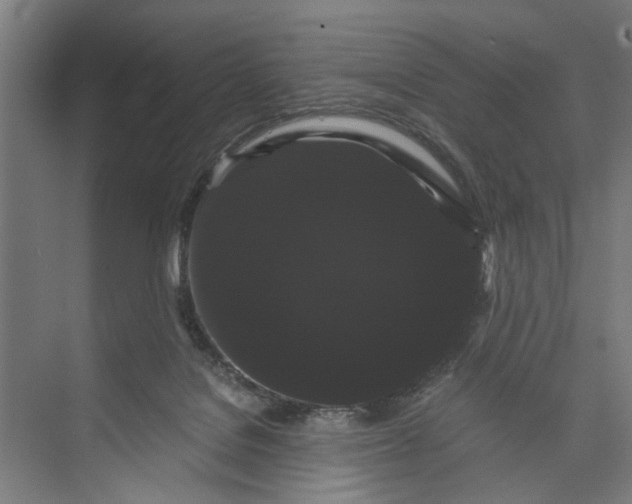 X0000071900076200608041354