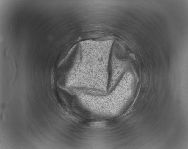 X0000071900078200608041354