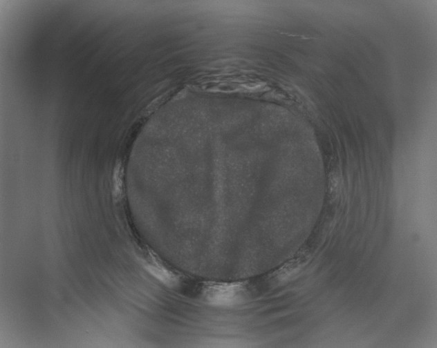 X0000071900081200608041354