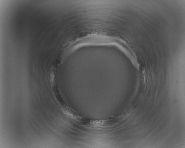 X0000071900084200608041354