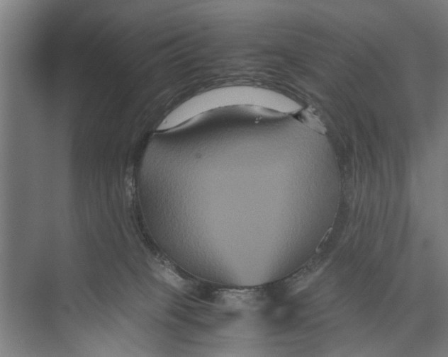 X0000071900085200608041354