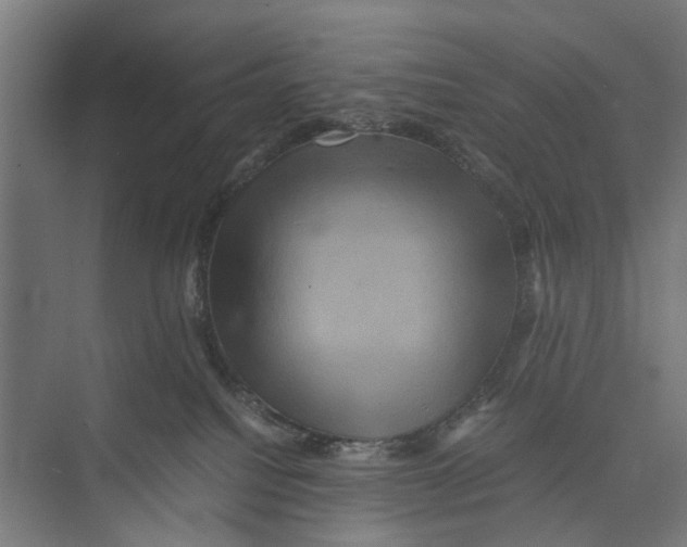 X0000071900088200608041354