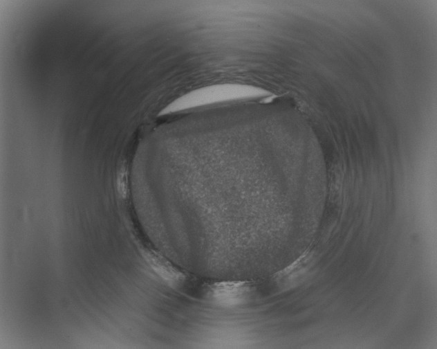 X0000071900090200608041354