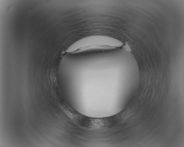 X0000071900091200608041354