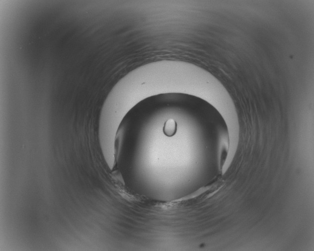 X0000071900092200608041354