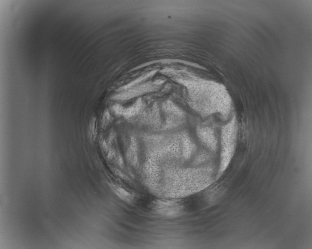 X0000071900093200608041354