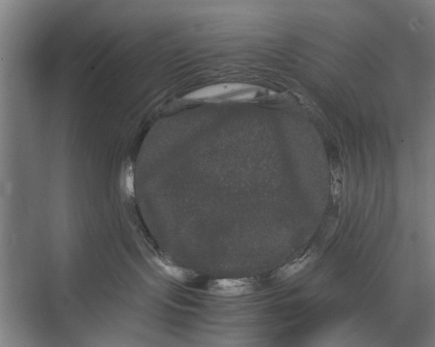 X0000071900095200608041354