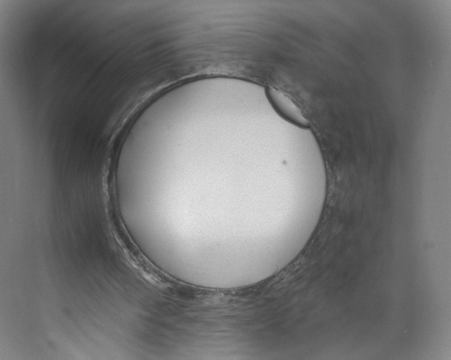 X0000071900098200608041353