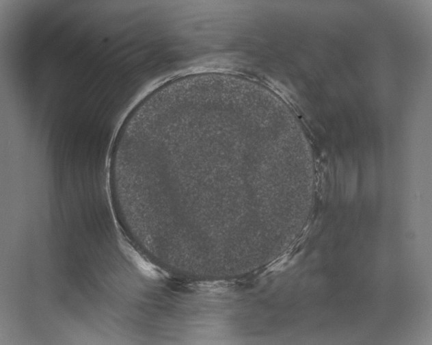 X0000071900100200608041353