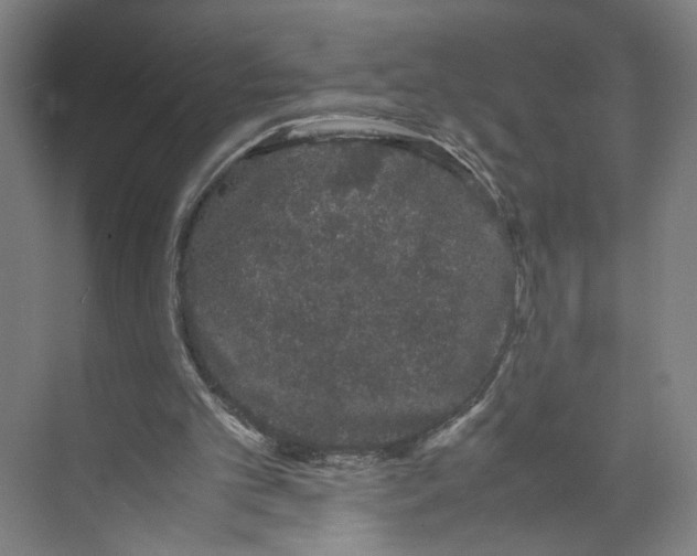 X0000071900101200608041353