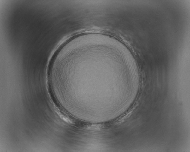 X0000071900102200608041353