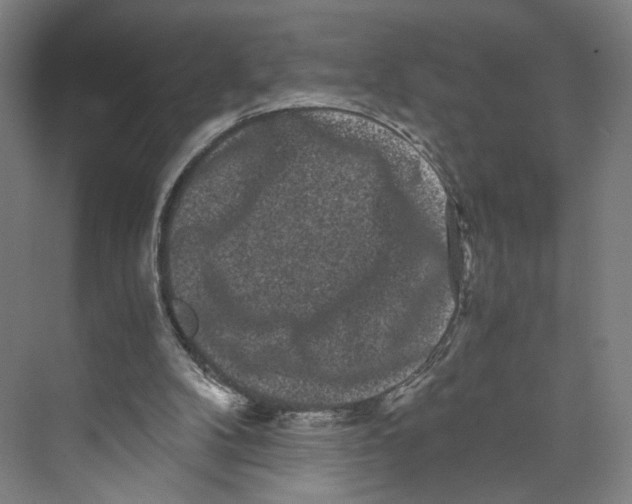 X0000071900104200608041353