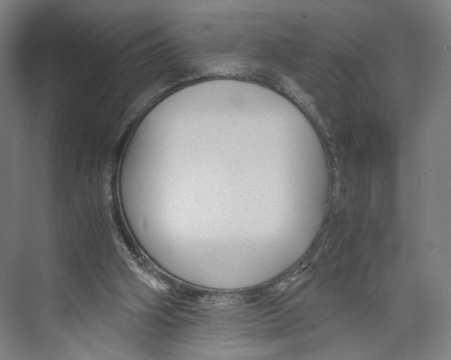 X0000071900106200608041353