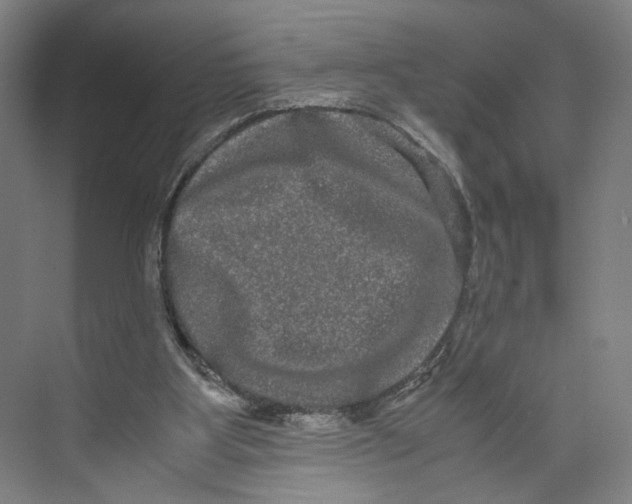 X0000071900107200608041353