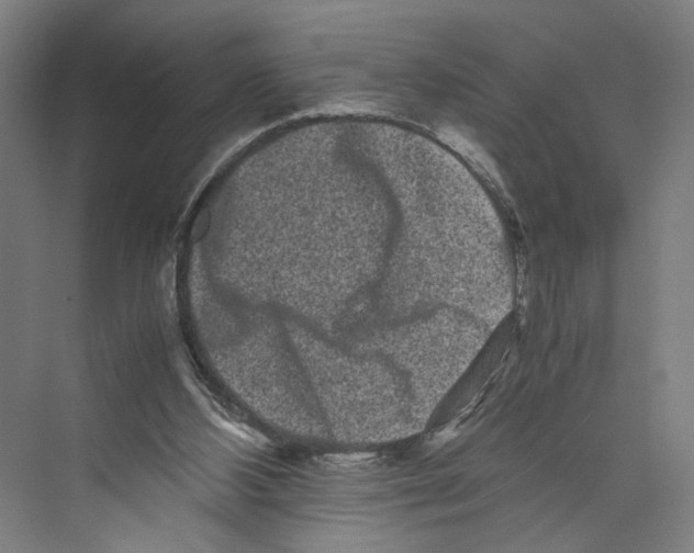 X0000071900108200608041353