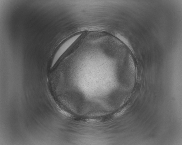 X0000071900109200608041353