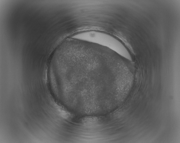 X0000071900110200608041353