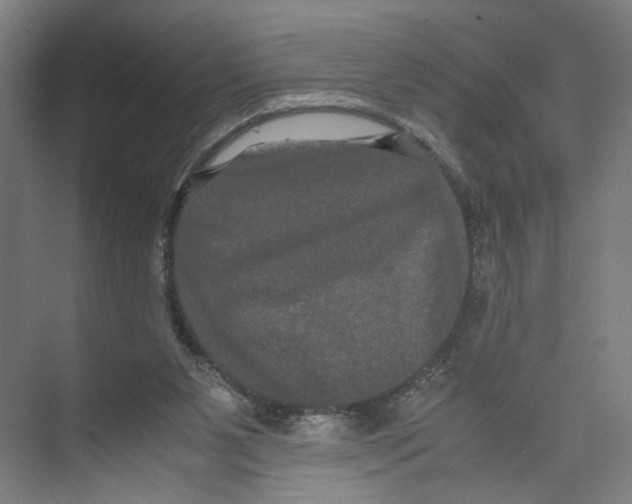 X0000071900111200608041353