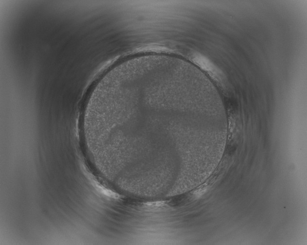 X0000071900112200608041353