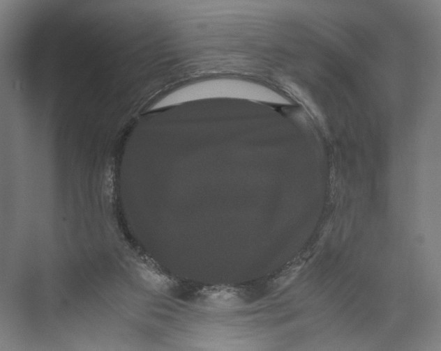 X0000071900113200608041353