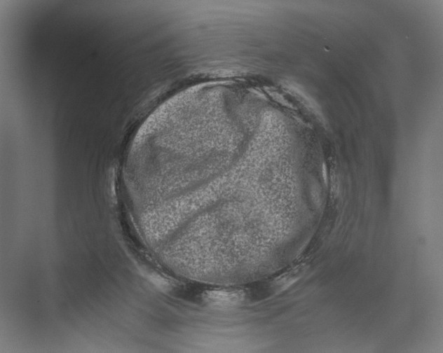 X0000071900115200608041353