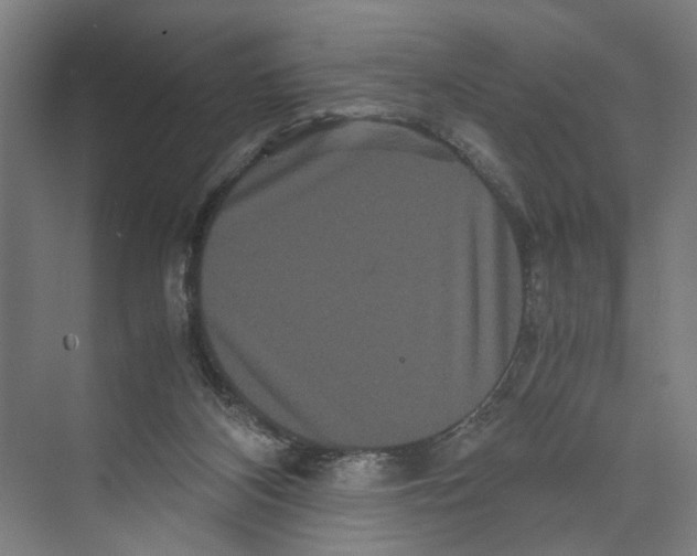 X0000071900116200608041353