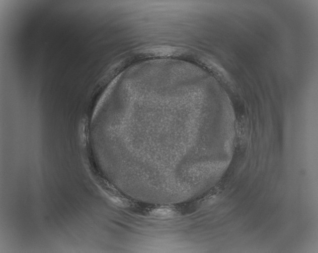 X0000071900119200608041353