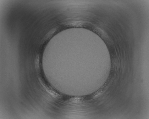 X0000071900120200608041353