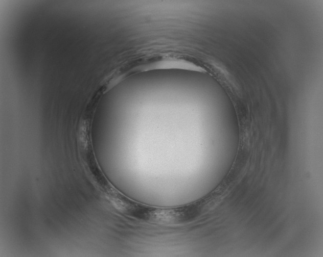 X0000071900121200608041353