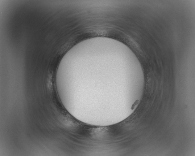 X0000071900122200608041353