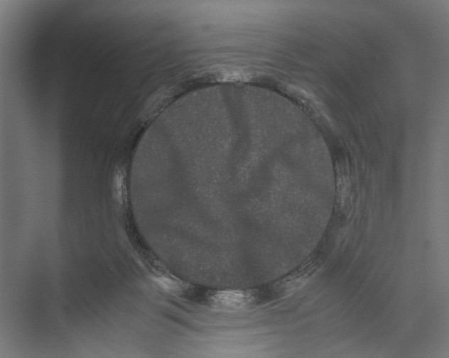 X0000071900123200608041353