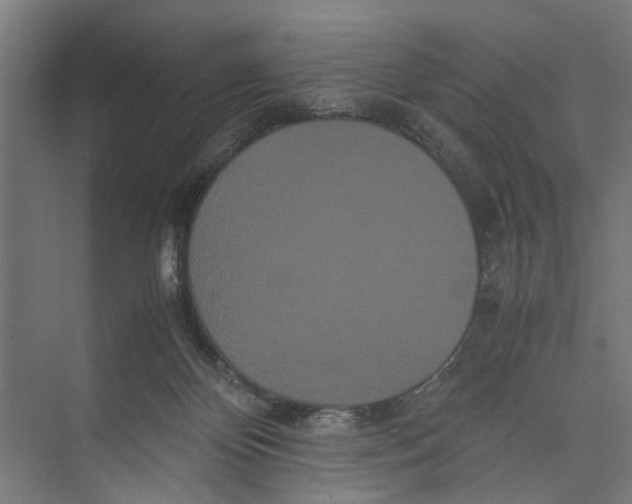 X0000071900124200608041353