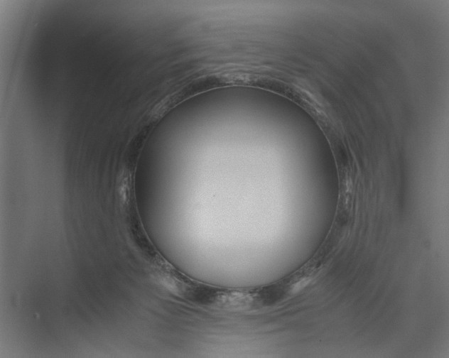 X0000071900125200608041353