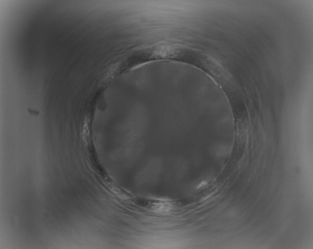 X0000071900127200608041353