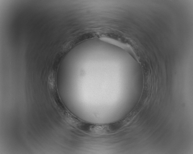 X0000071900129200608041353