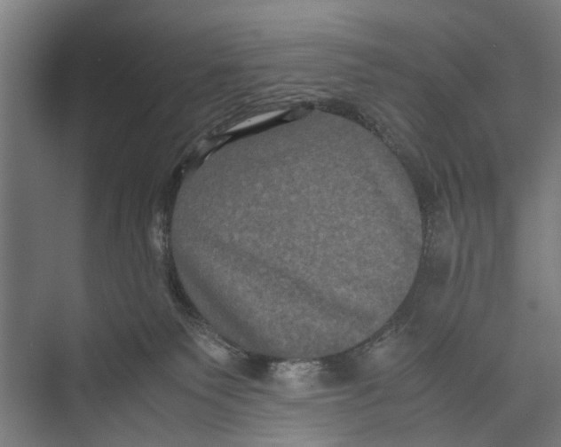 X0000071900135200608041353