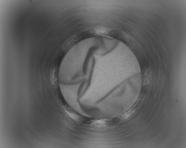 X0000071900140200608041352