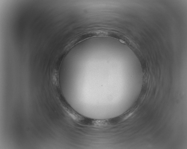 X0000071900141200608041352