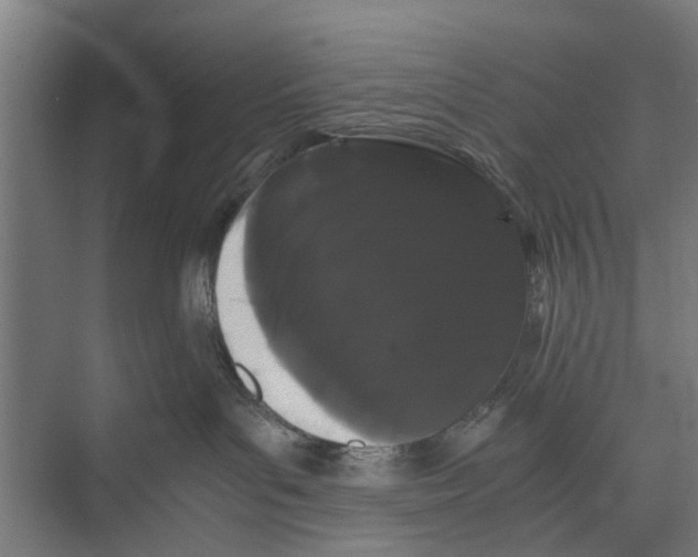 X0000071900143200608041352