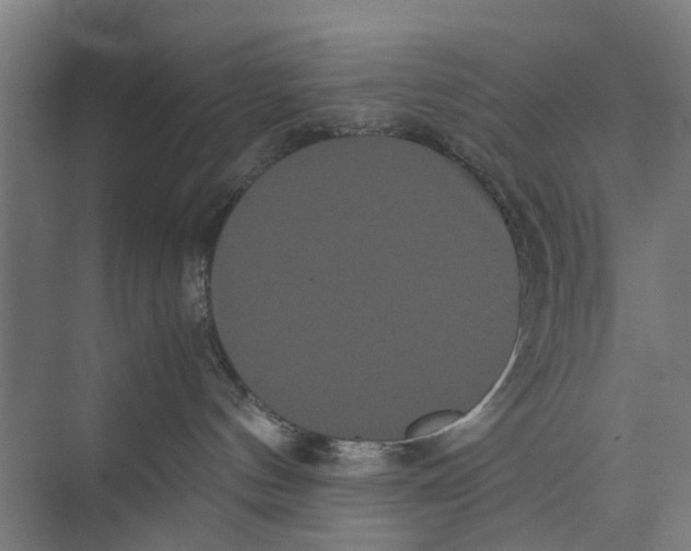 X0000071900144200608041352