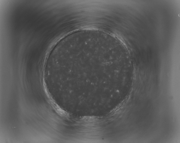 X0000071900145200608041352