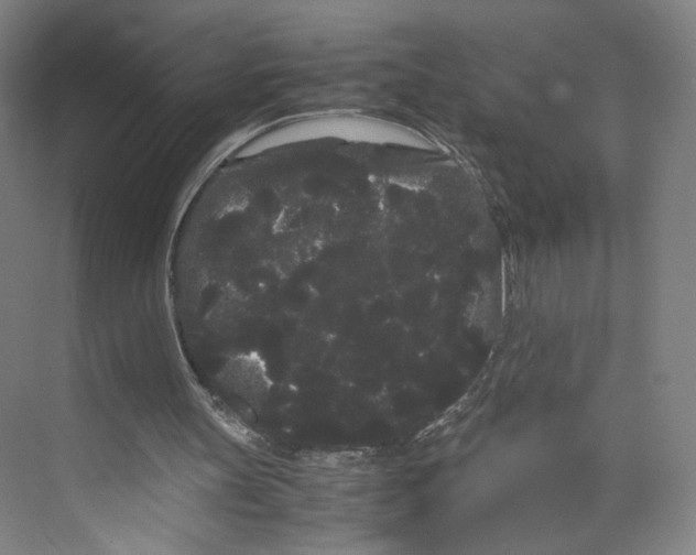 X0000071900147200608041352