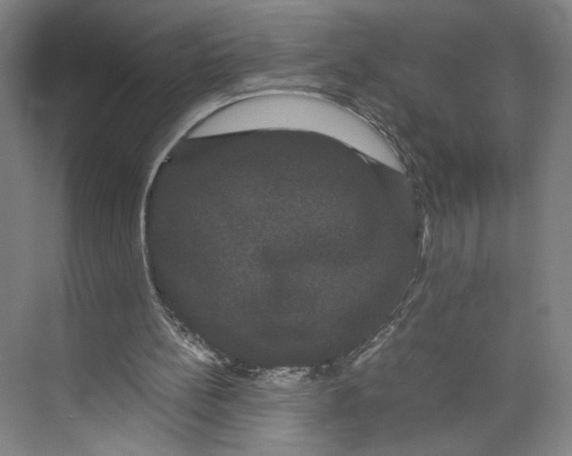 X0000071900148200608041352