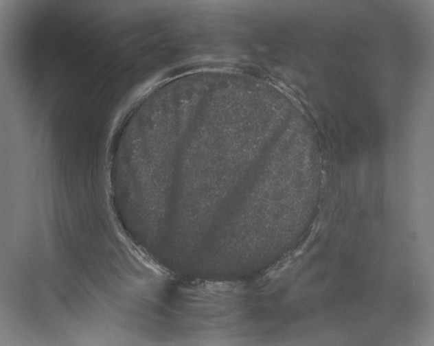 X0000071900149200608041352