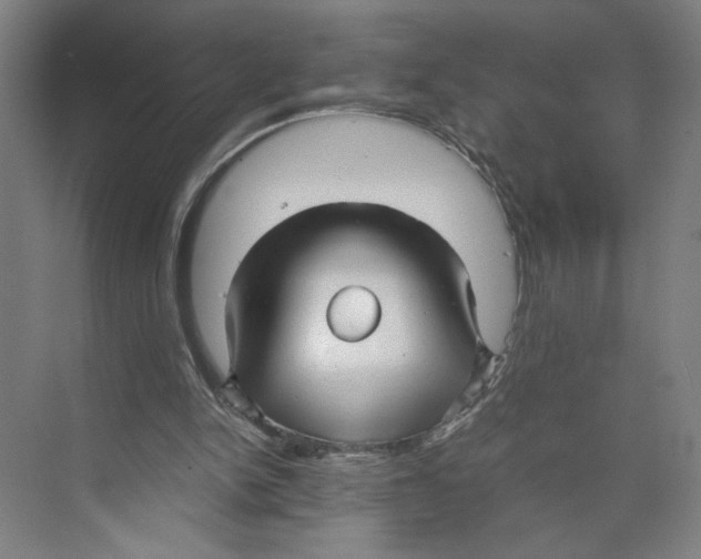 X0000071900150200608041352