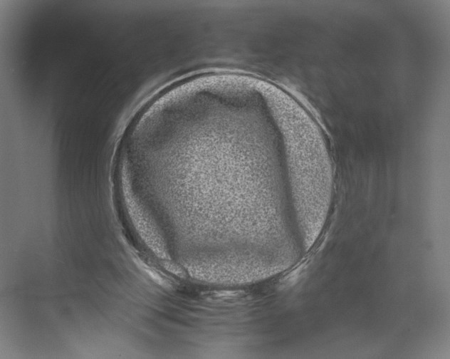 X0000071900151200608041352